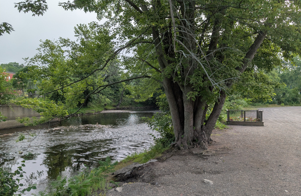 River garden