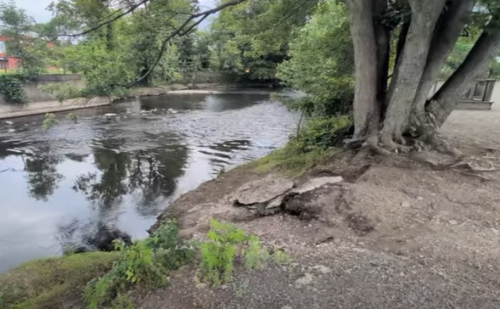 When you visit the Mental Health Association’s Jamestown recovery center in person or go to their Facebook page, Facebook.com/MHAChautauqua, you can experience the calming influence of the Chadakoin River that flows behind it. The peer recovery center announced they are making their quarterly newsletter more accessible, and they will be closed on July 3 and 10.